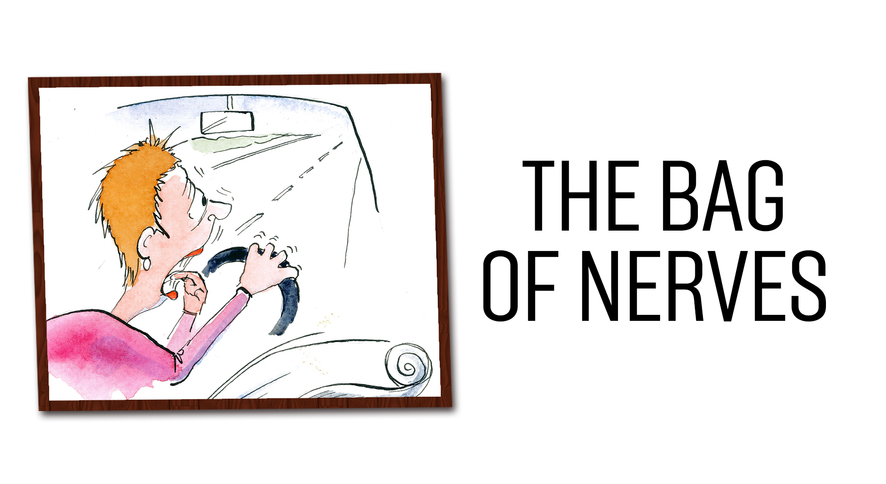 From the brash to nervous nellies, Richard Porter explains how to spot the many different types of driver on our roads. Which one are you? Tell us and you could win a prize. 