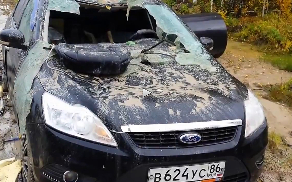 Mondeo attacked by bear
