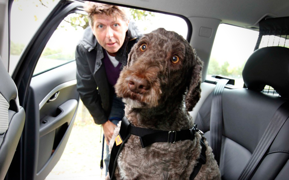 Giles Smith and his dog test Skoda Octavia Scout