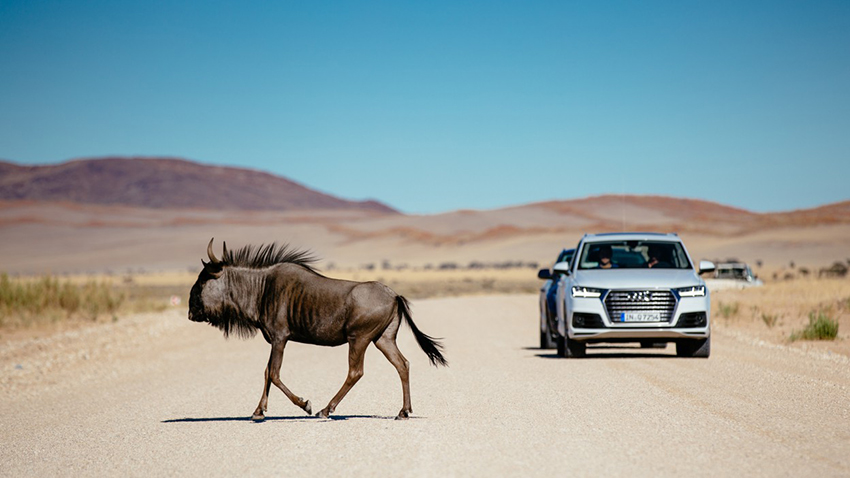 First drive: Audi Q7