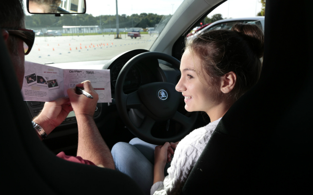 Experts are calling for driving lessons to added to school curriculum