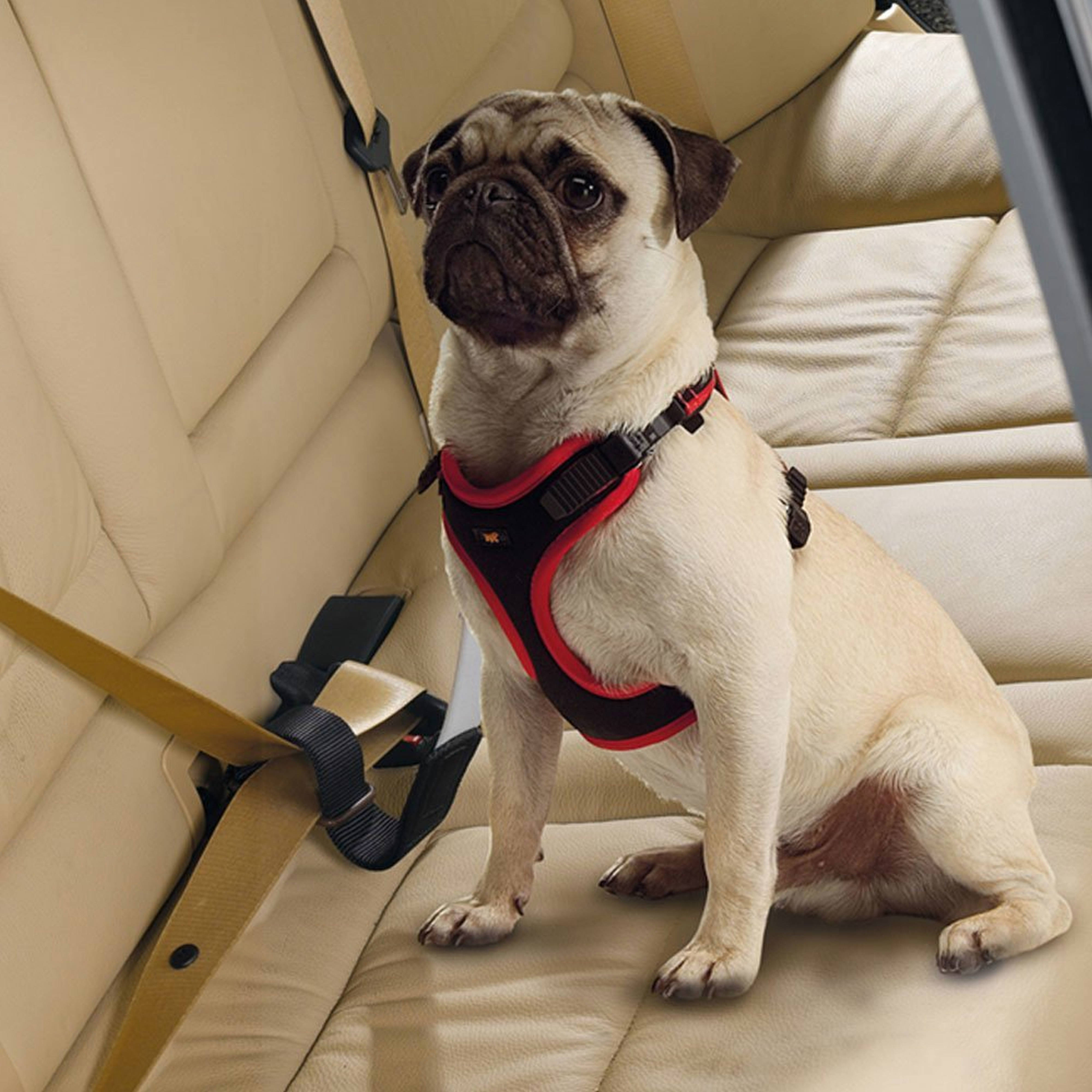 Ferplast Dog Travel Belt Dog Safety Belt review