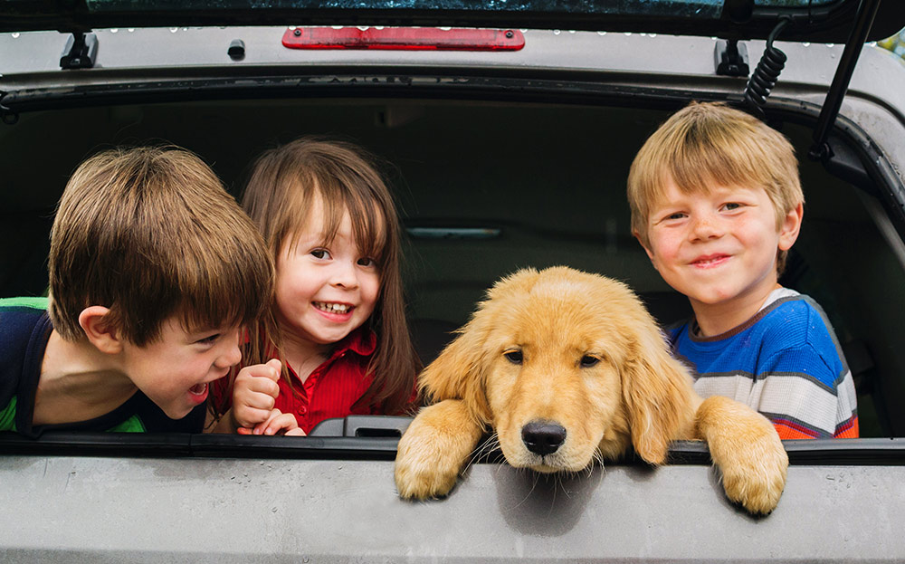 10 family cars that make life easier for parents