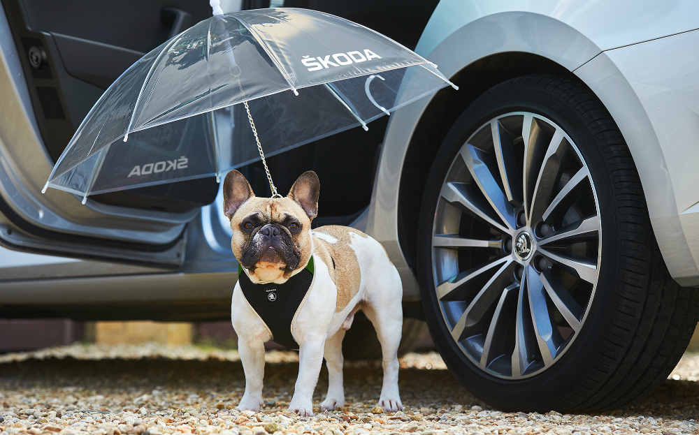 Dog umbrella: Best April Fools jokes by car companies
