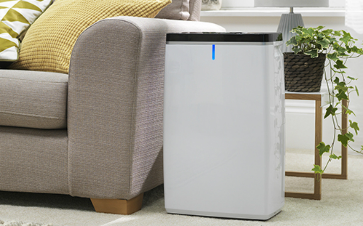 Products: Dehumidifiers for garages and homes reviewed