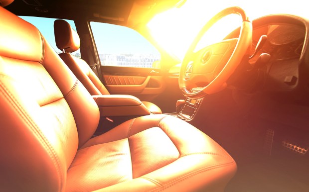 12 things not to leave in a hot car