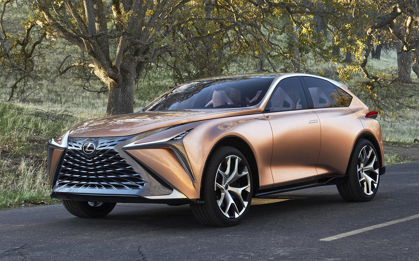2019 Lexus LF-1 Limitless SUV at the 2018 Detroit Motor Show