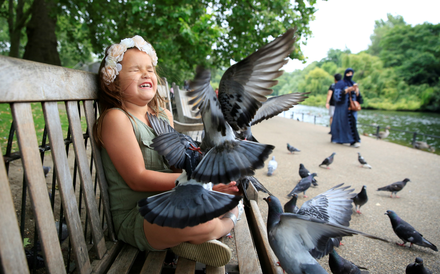 Pigeons "the perfect tool" for monitoring air pollution