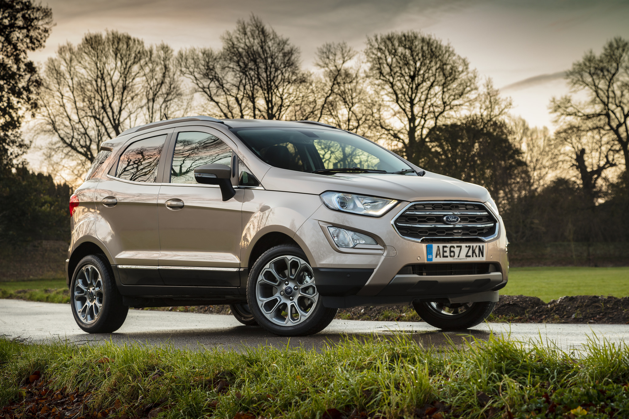 Lotto winner rewards himself with new Ford Ecosport