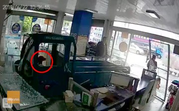 Watch this dog drive a truck into phone shop