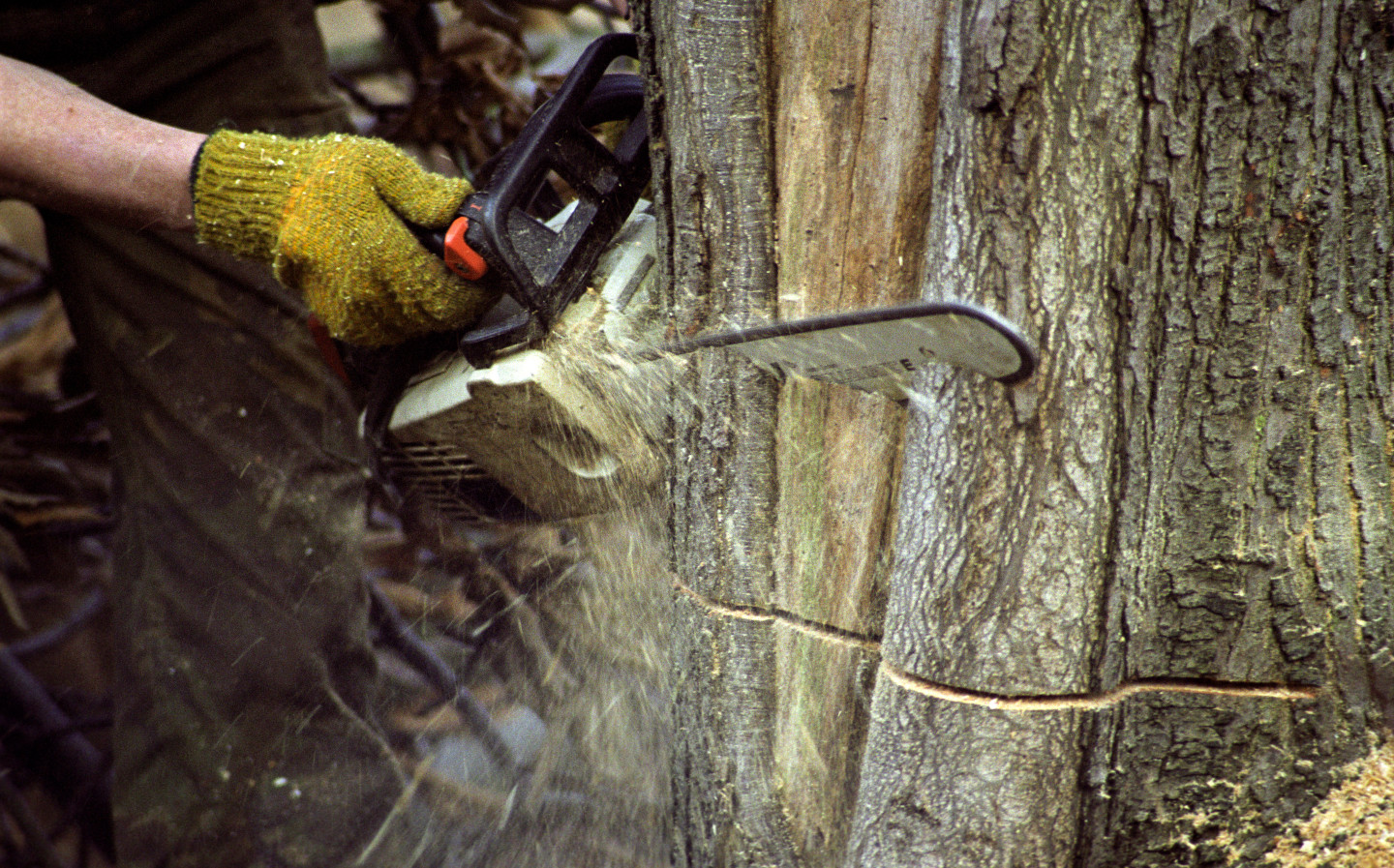 Jeremy Clarkson experiments with power tools