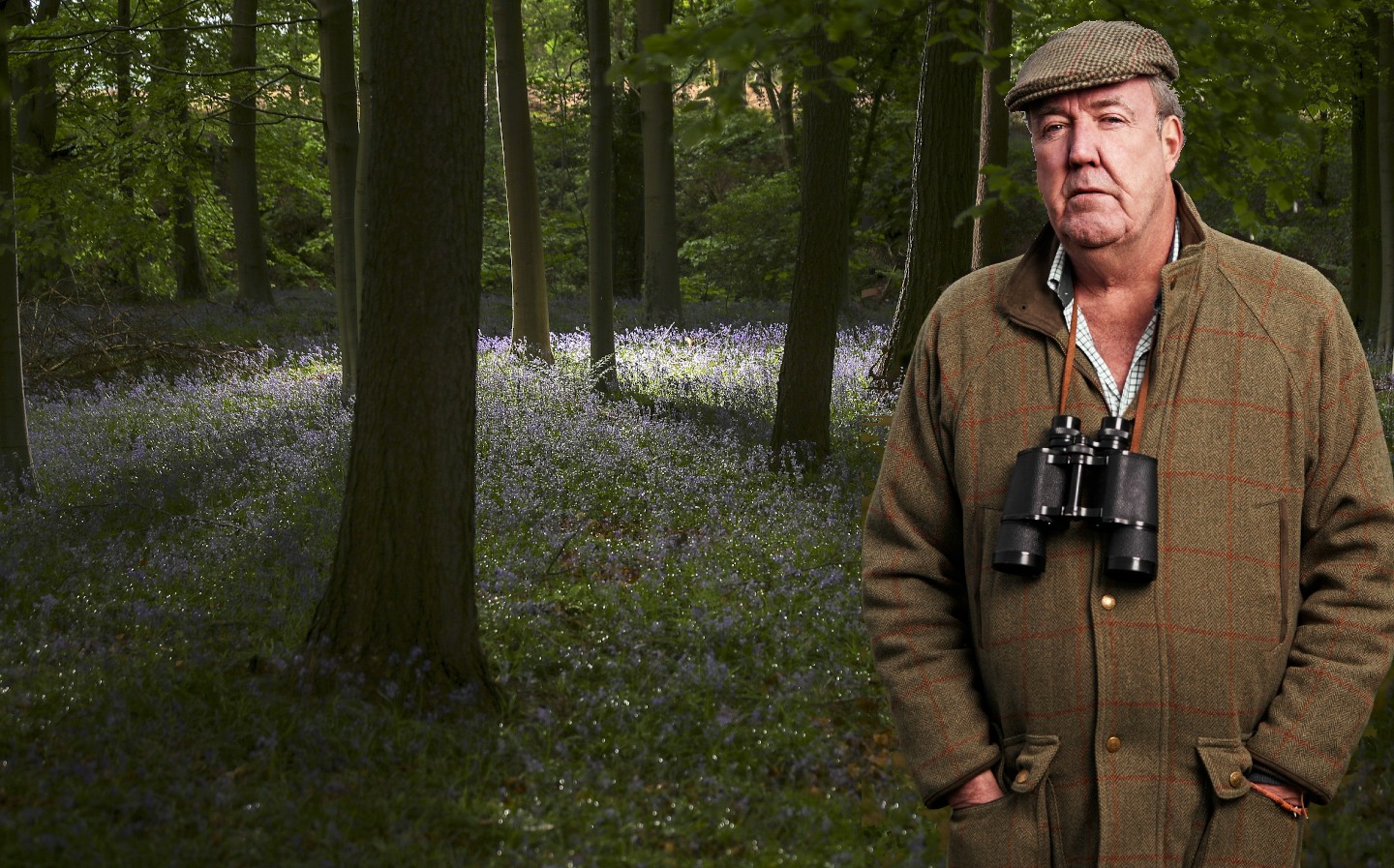 Jeremy Clarkson kills some trees to save a forest