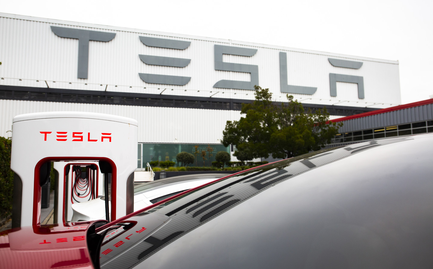 Tesla makes first full year of profit