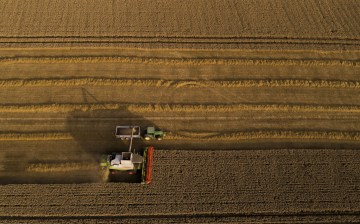 Jeremy Clarkson’s harvest has been hampered by weather forecasters and Brexit