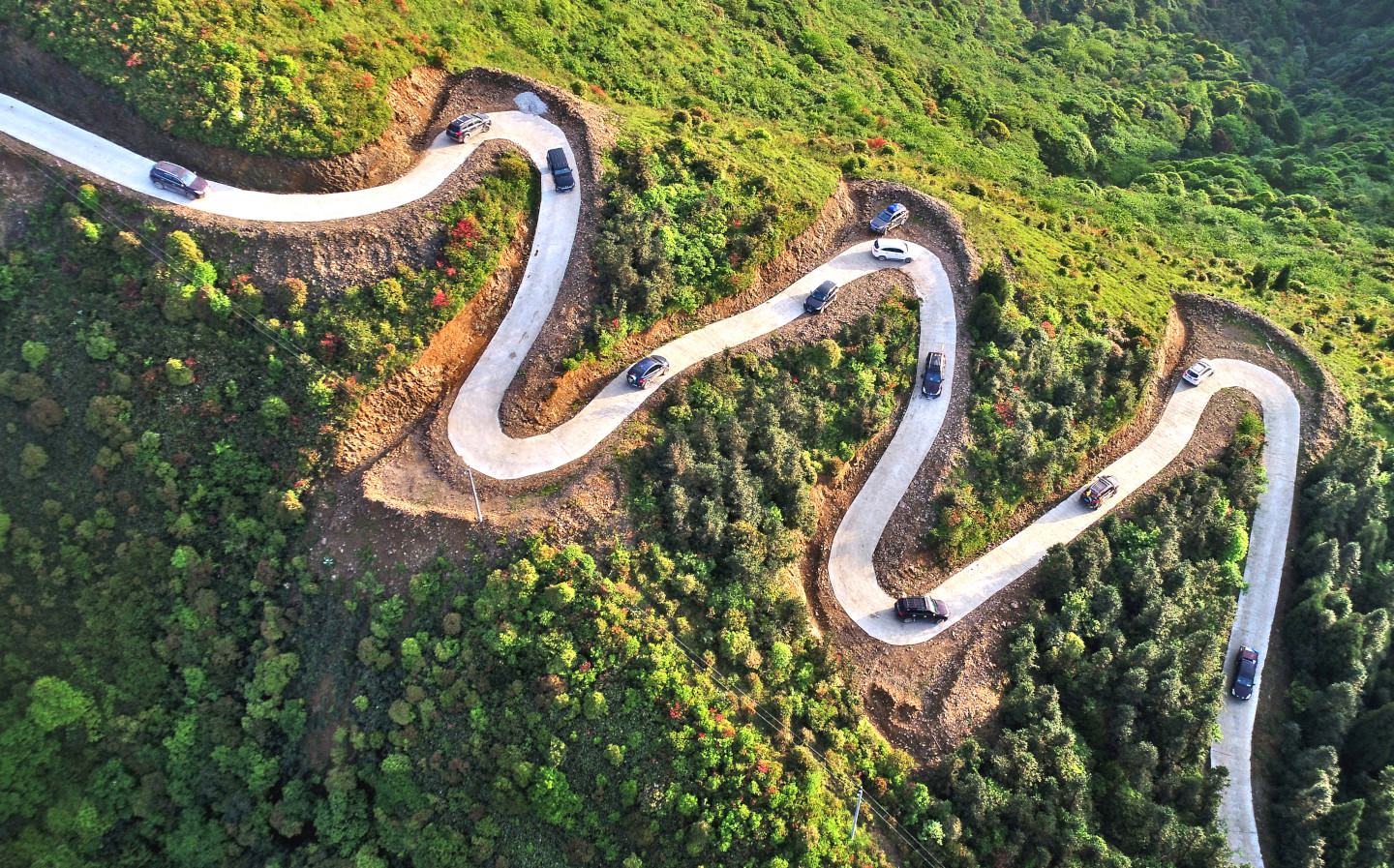 Is brain training the cure to car sickness?