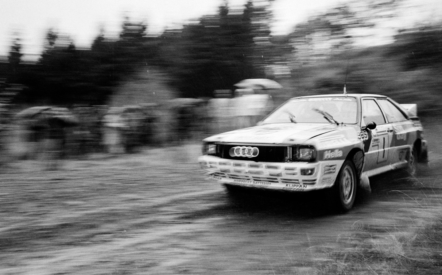 Michelle Mouton Audi Quattro