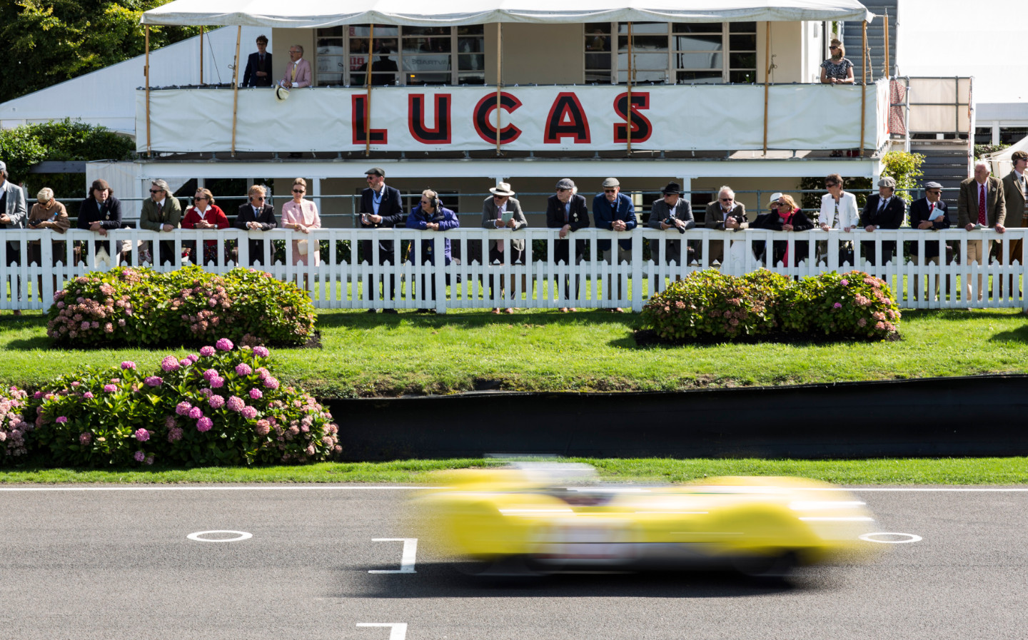 Goodwood Revival