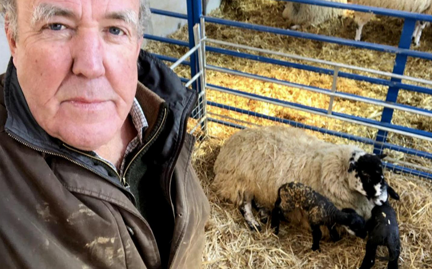 Jeremy Clarkson's funniest quotes of 2020