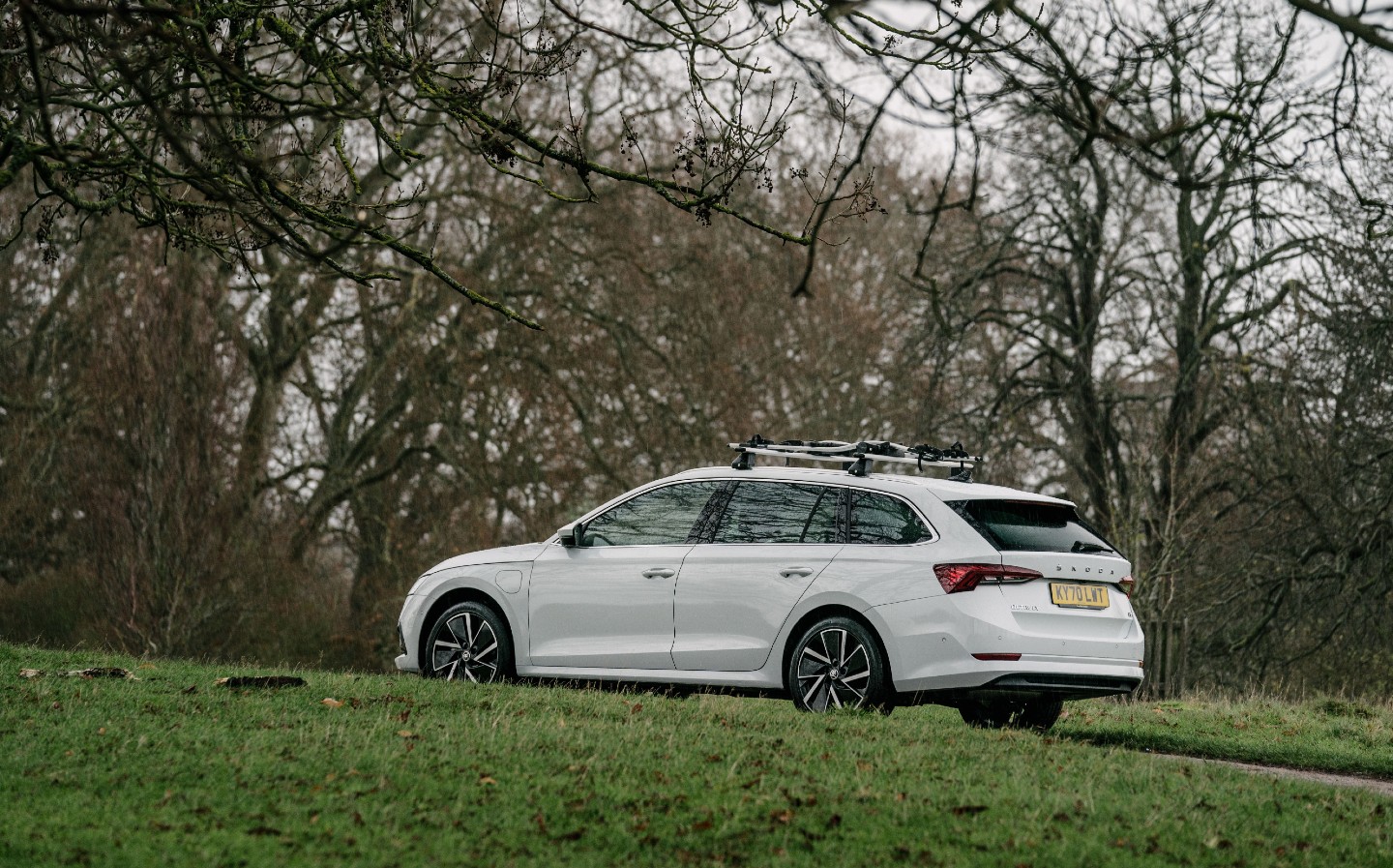 Skoda Octavia iV Estate review: Ivy League hybrid