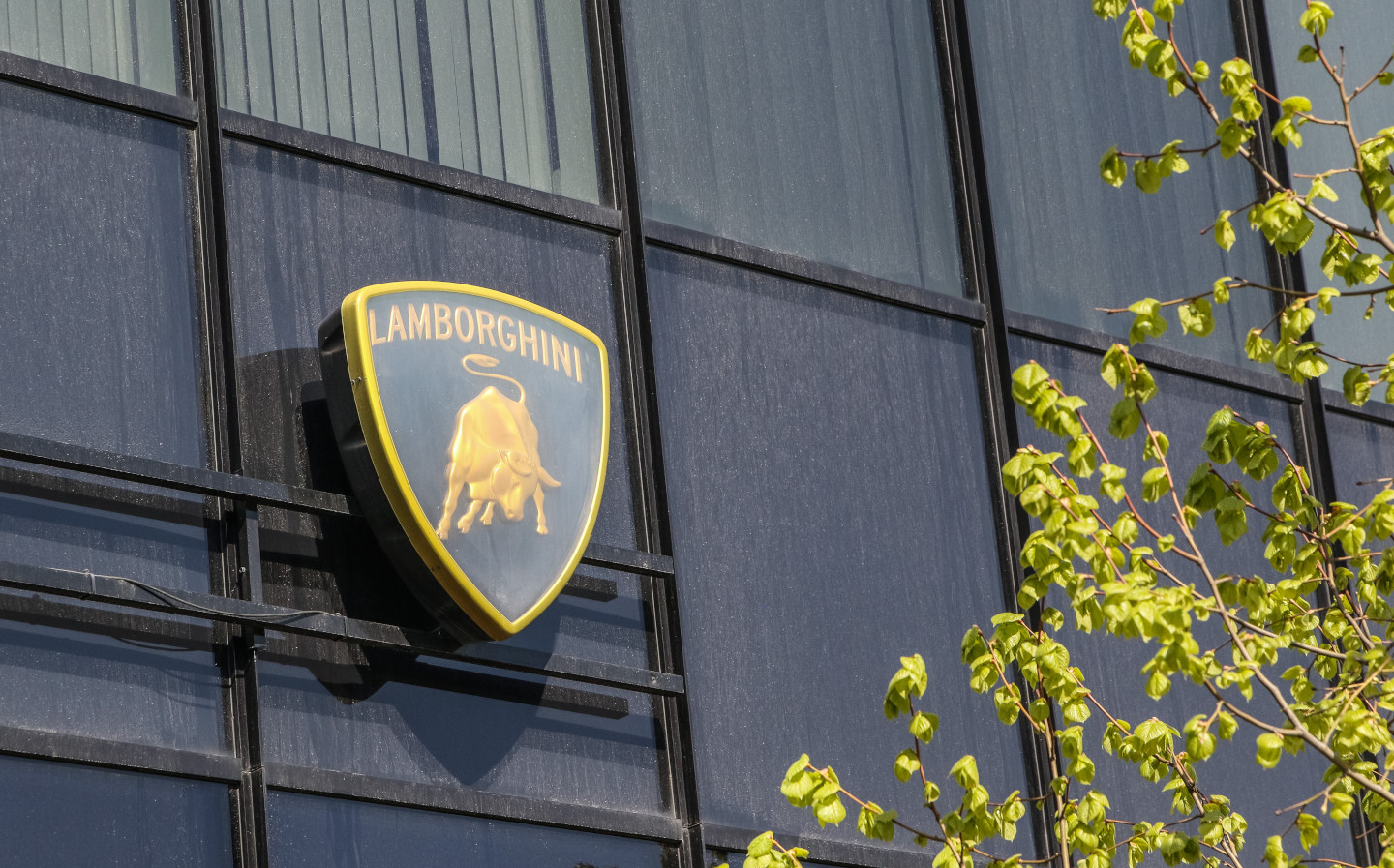 Offer made to buy Lamborghini from VW Group
