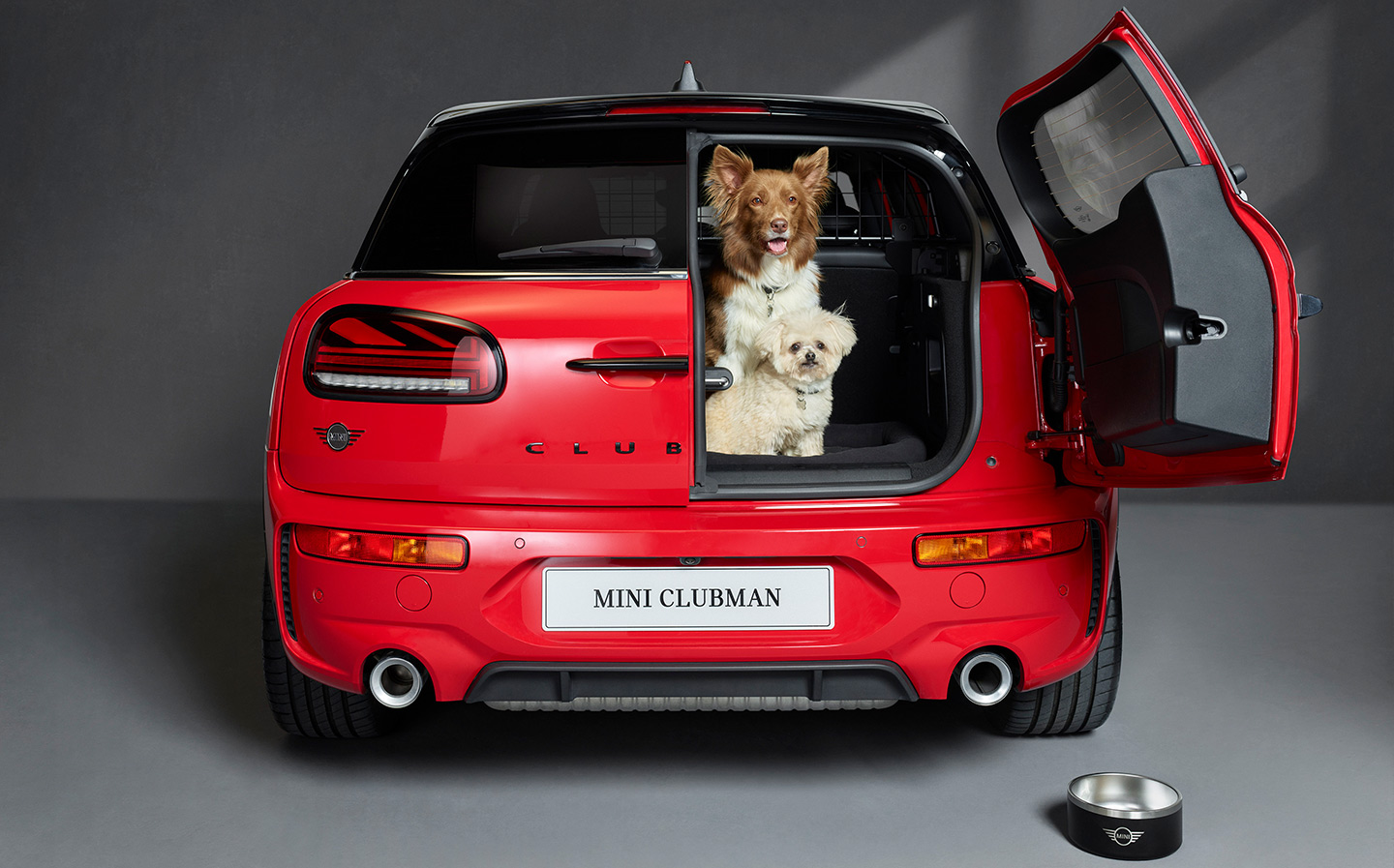 Mini Clubman Dog Pack