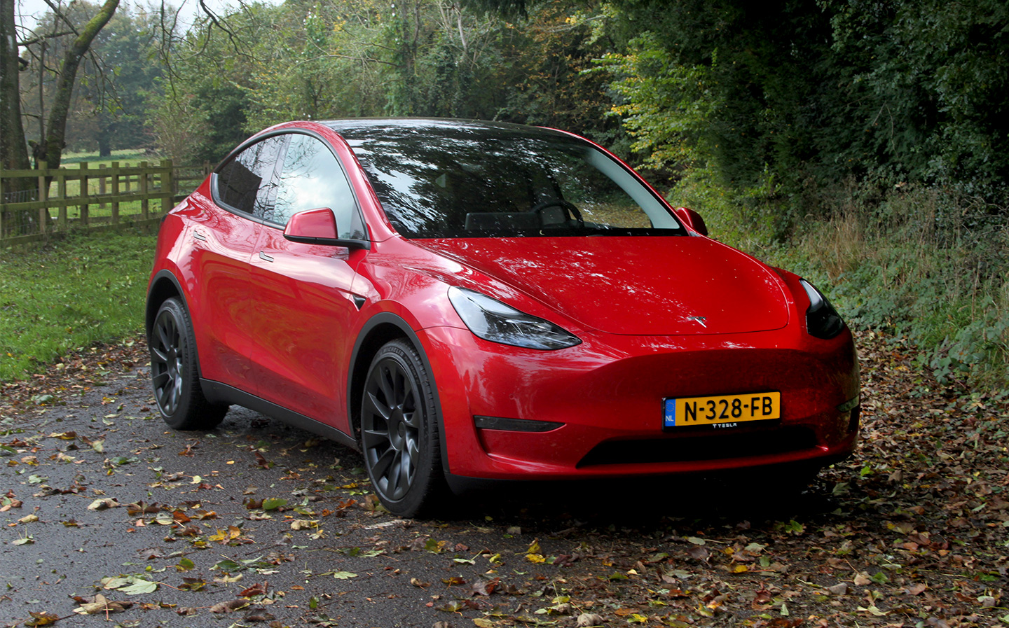 Tesla Model Y vs. Tesla Model 3: Head to Head