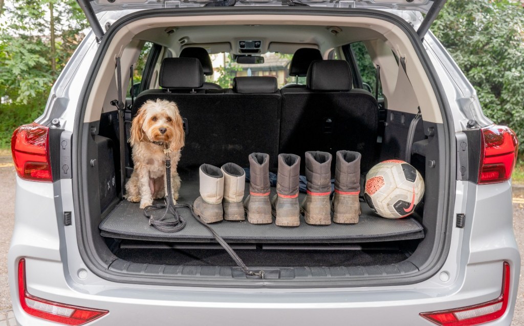 SsangYong Rexton review - boot size and practicality for dogs