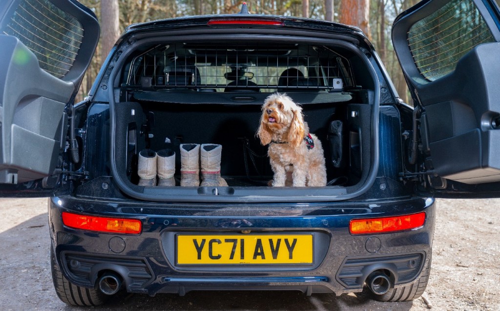 How dog-friendly is the Mini Clubman?