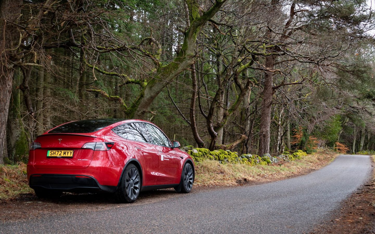 Unveils Ring Car Security. Tesla Cars Will Get Them First