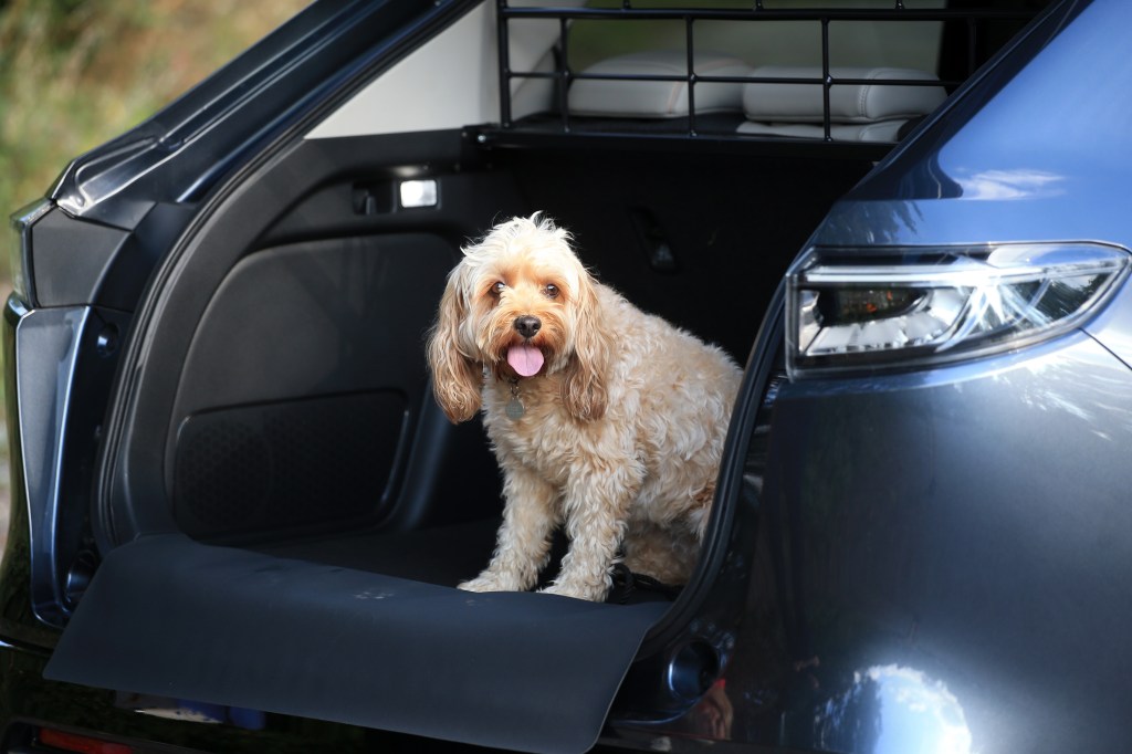 Honda HR-V dog options