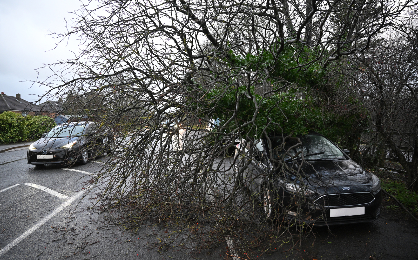 Car crushed by fallen tree - can you claim on insurance?
