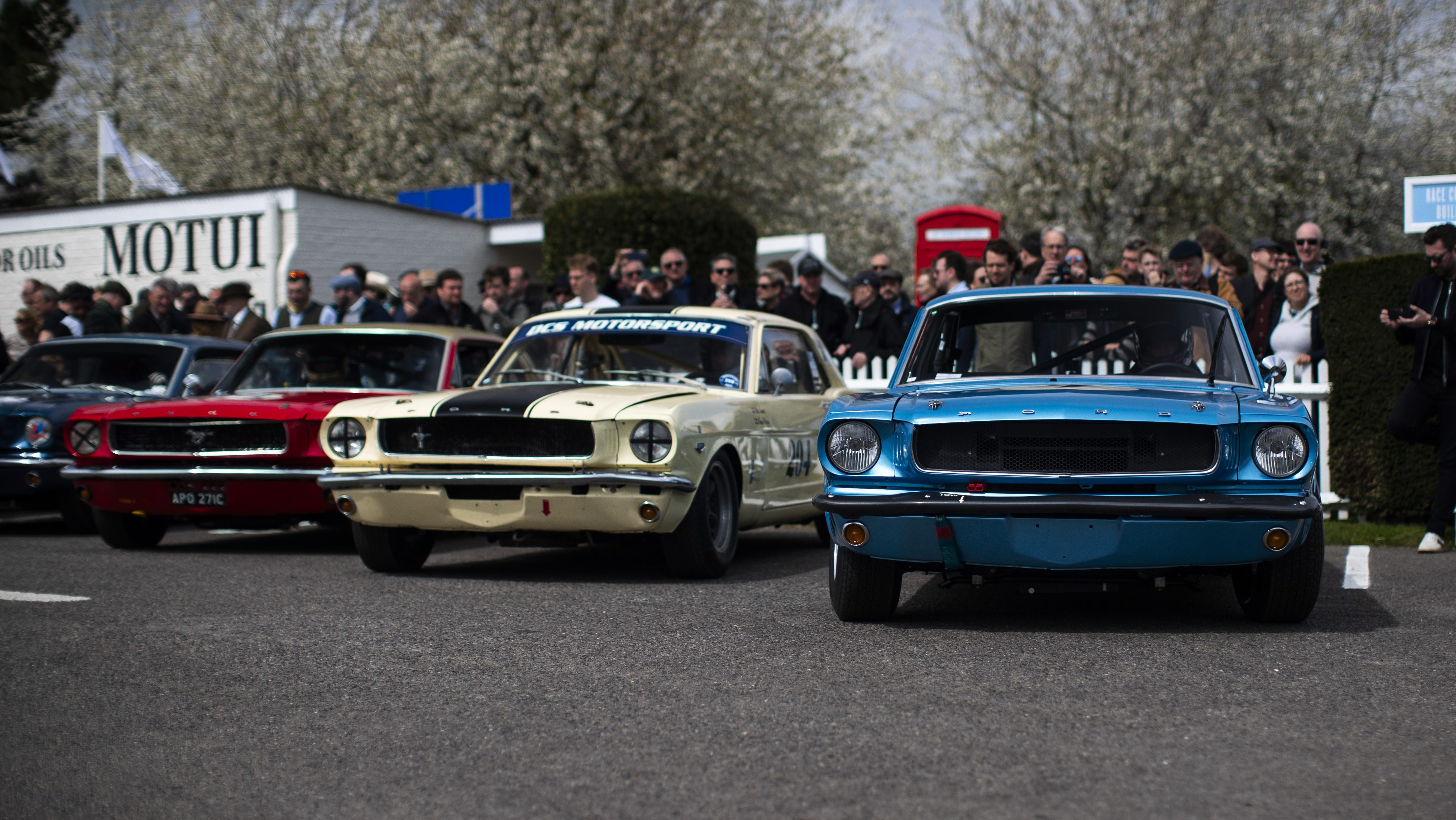 1965 Ford Mustang racing cars in the assembly area at the 81st Goodwood Members Meeting